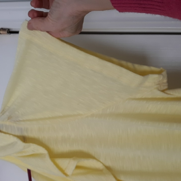 Zena Woman Pastel Yellow Semi-sheer V-neck Popover Spring Top sz 22/24 - Picture 4 of 7